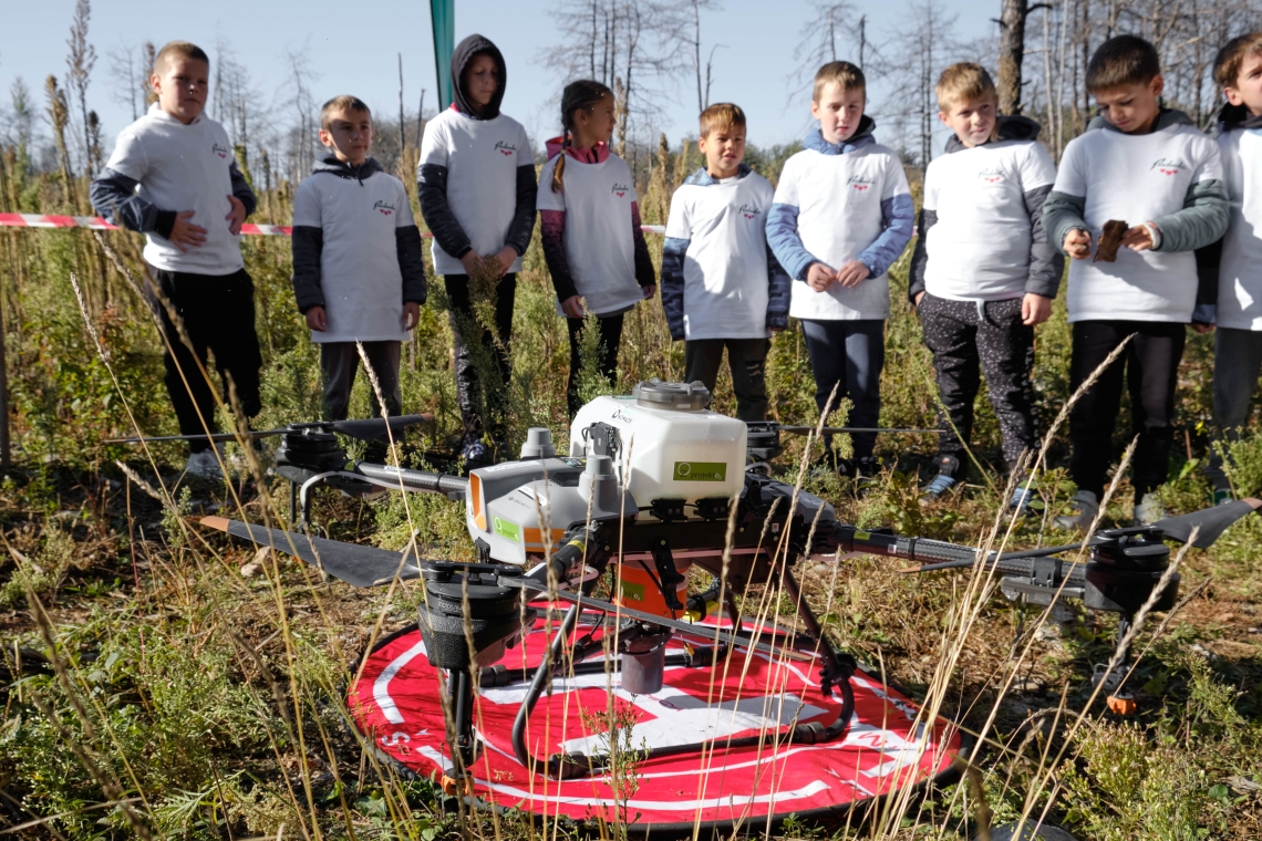Radenska letos obnavlja koroške gozdove z droni in ustvarjalnim natečajem za šolarje